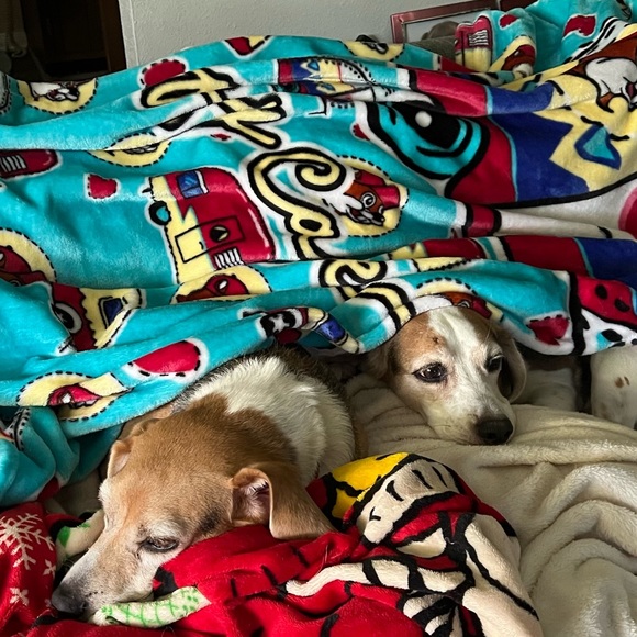 Buc-ees Other - 💥💥 PUP APPROVED- HARD TO FIND 💥💥Buc-ees “Happy Camper” Blanket NWT